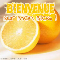 Welcome !
